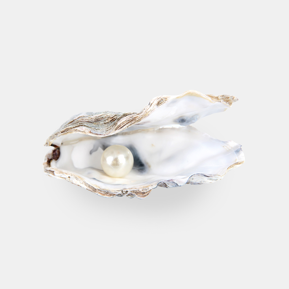 COFFRET PERLE D'EAU DOUCE